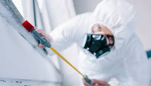 Best Residential Pest Control  in Lebanon, IN